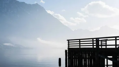 Laboriosam expedita molestias saepe odit dolore.