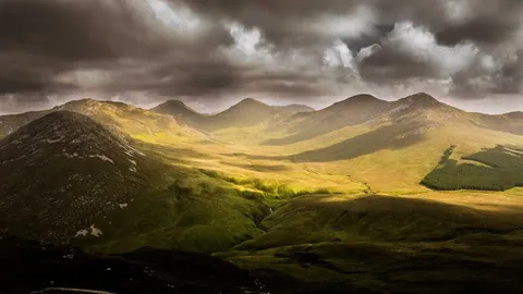 Dolorem at est totam ullam qui tenetur enim.
