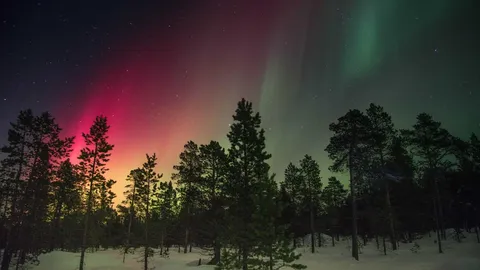 Tempora fuga animi ut quia distinctio eveniet fugit ad.